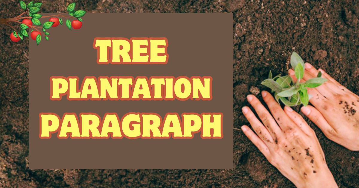 Feature-Image-of-Tree Plantation Paragraph