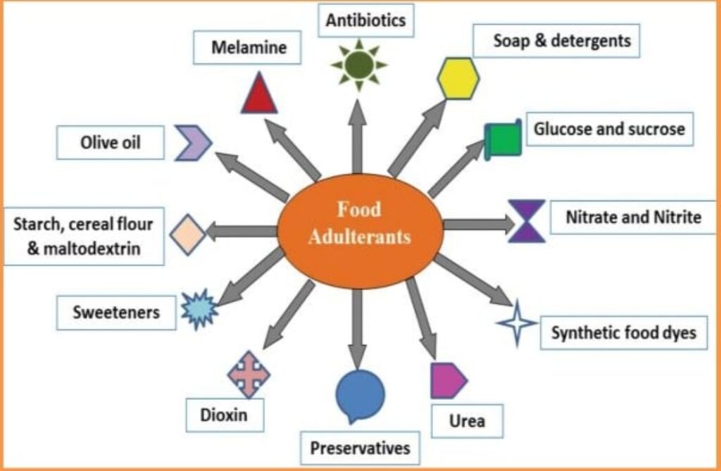 Food Adulteration Paragraph