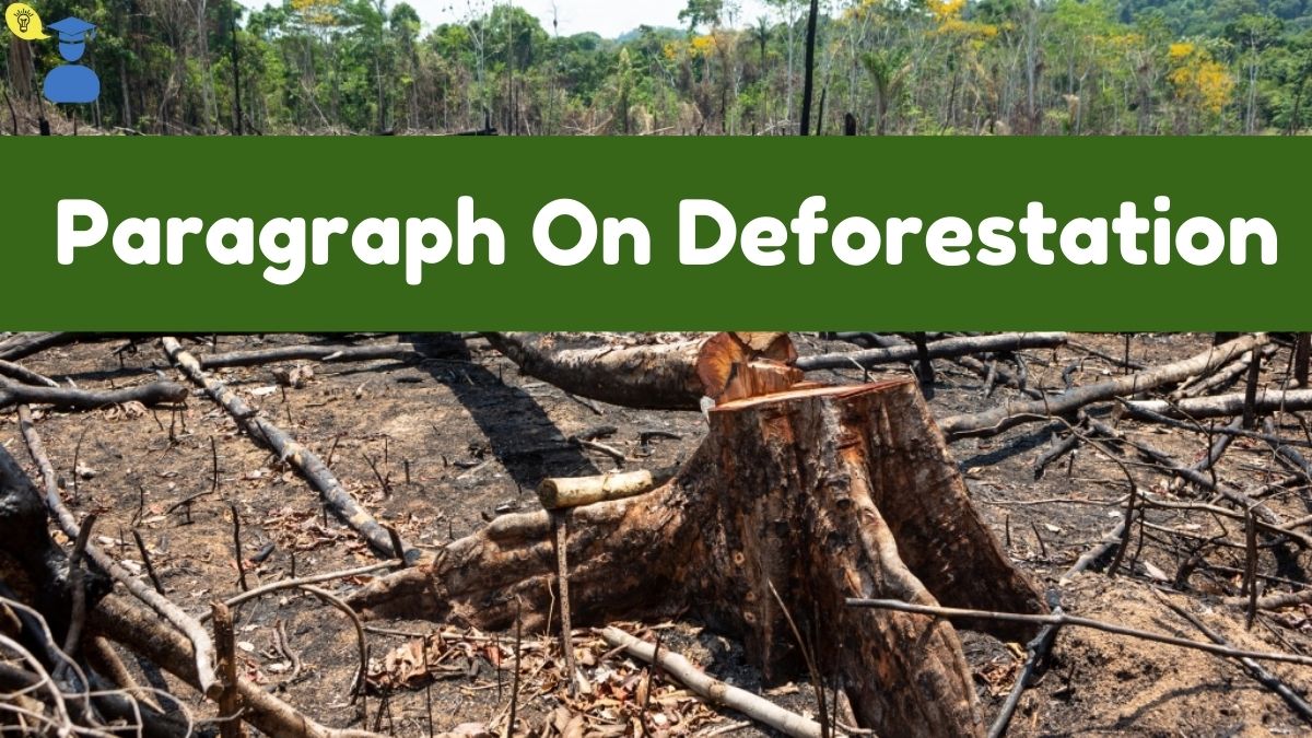 iMAGE OF Deforestation Paragraph